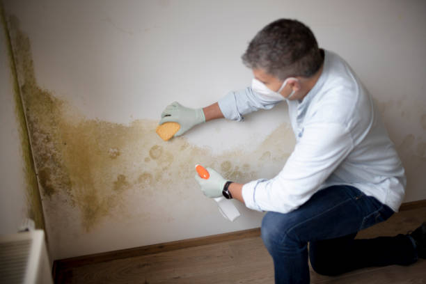 Best HVAC Mold Inspection and Cleaning  in Glenmoor, OH