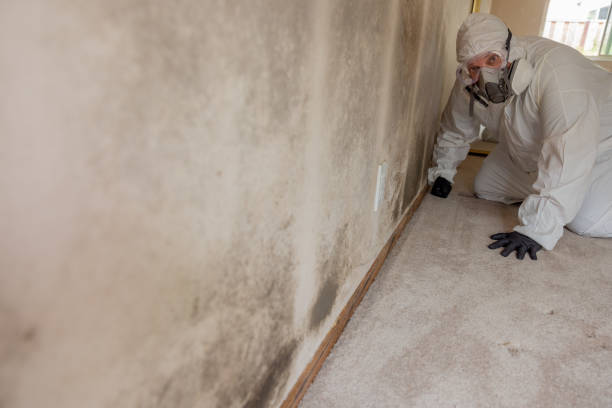 Best Industrial Mold Remediation  in Glenmoor, OH